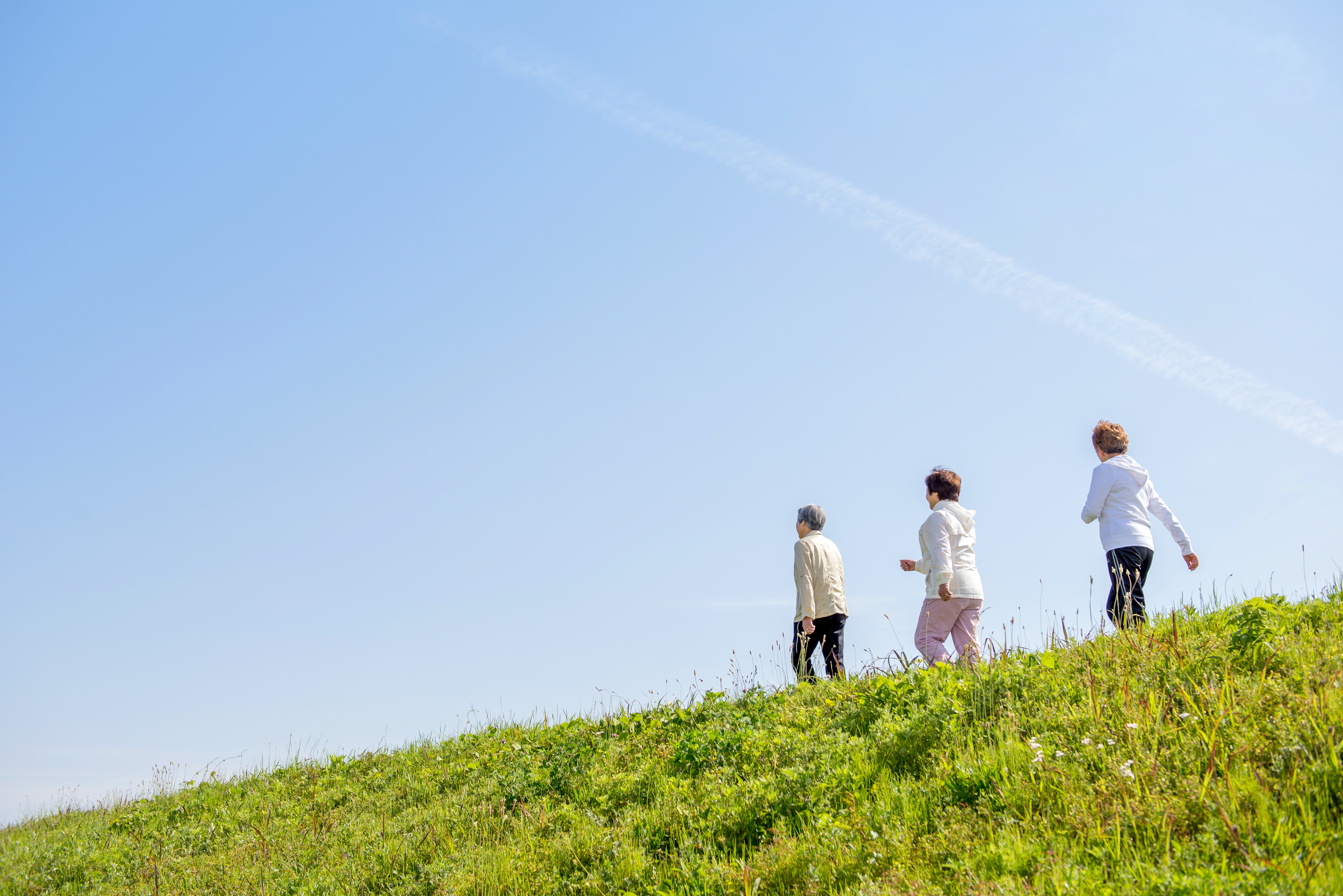 Patientenleitlinie Herzschwäche