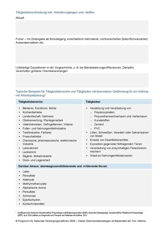 dokumentationsbogen-arbeitsplatzbezogene-anamnese-2.jpg