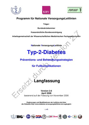 dm2-fuss-lang-2.6.pdf